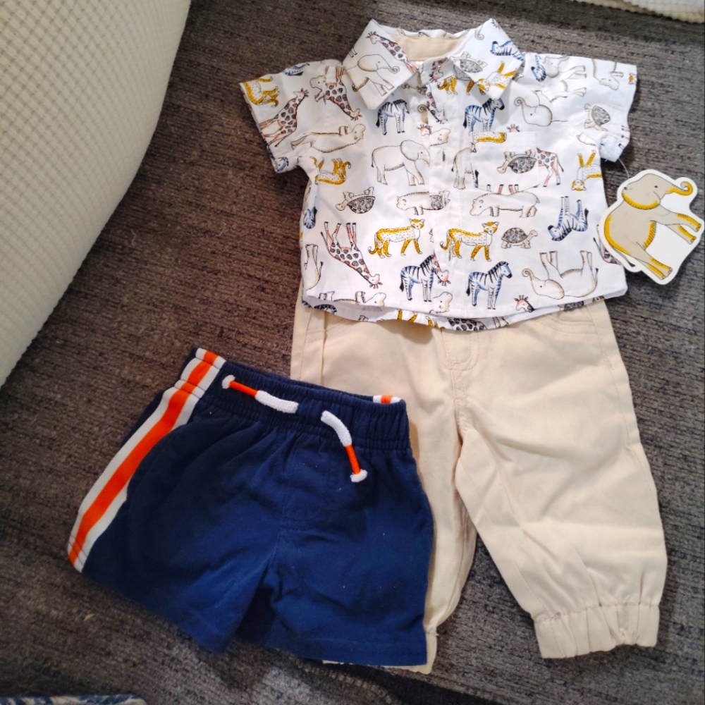 Animal Print Baby Shirt and Pants Set